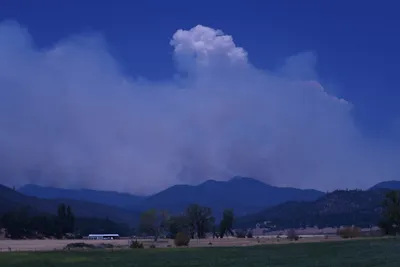 DSC_1868 (Large).JPG